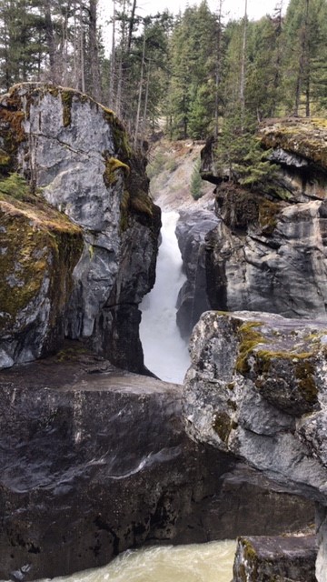 02FC8C76-FD26-449B-A4FA-6192A7B38D0D