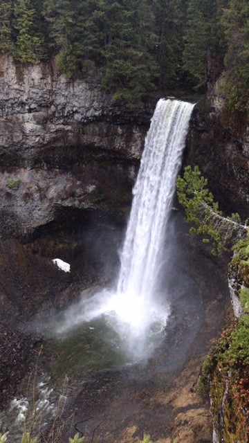 6E0587CD-414D-4334-8ABD-A9AE9CB35425