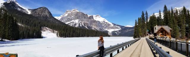 72837f2f-ba7a-4552-89a0-30d430d45c19